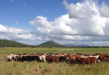 Henderson Park Farm Retreat Villa Yeppoon Buitenkant foto